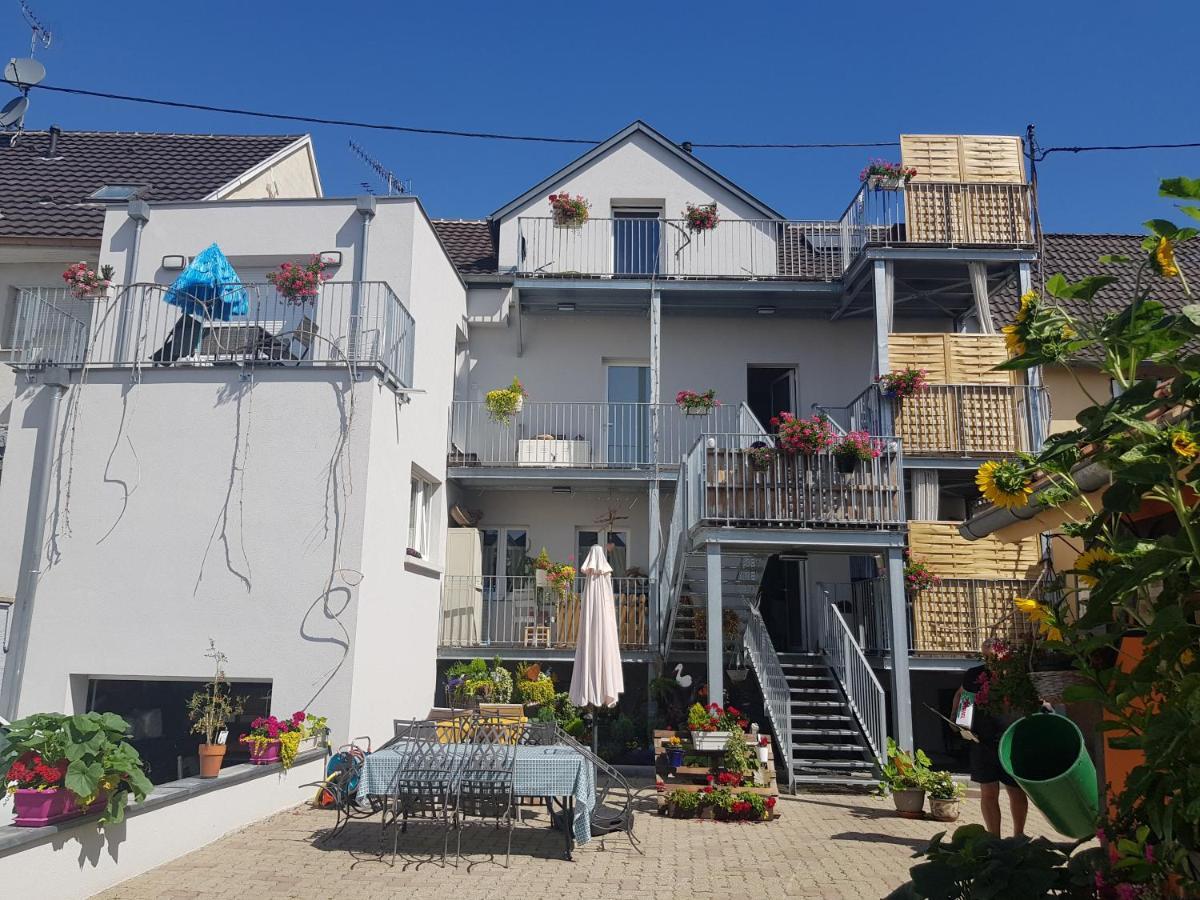 Apartament Au Gre De L'Ill 'L'Ill' Horbourg Zewnętrze zdjęcie
