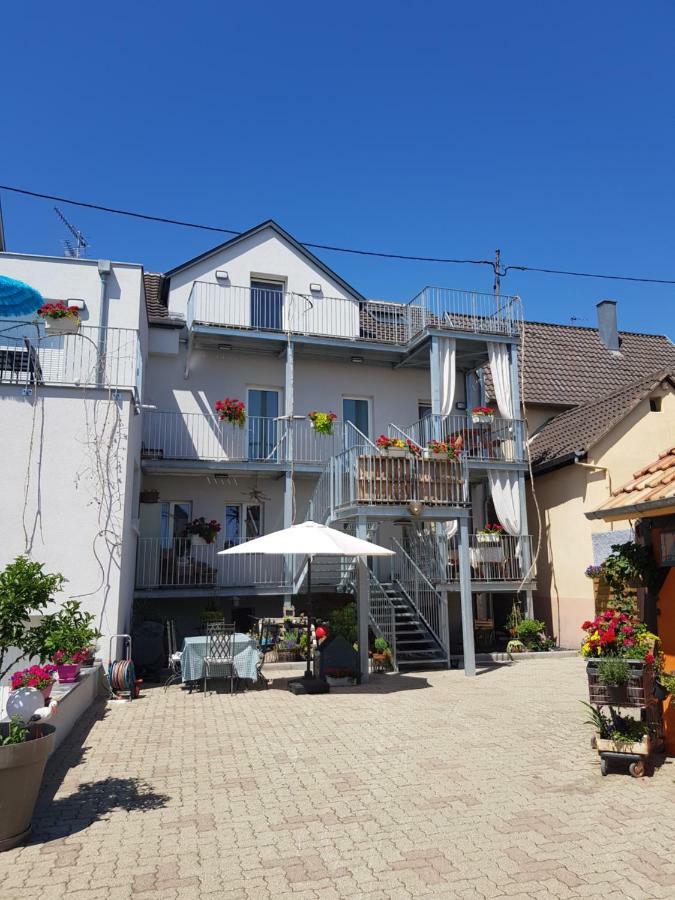 Apartament Au Gre De L'Ill 'L'Ill' Horbourg Zewnętrze zdjęcie