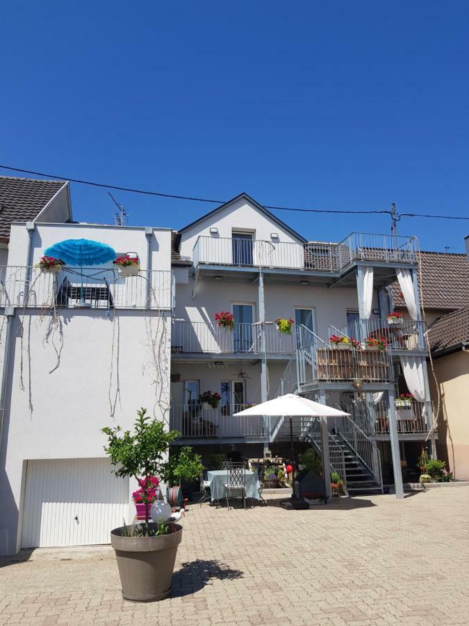 Apartament Au Gre De L'Ill 'L'Ill' Horbourg Zewnętrze zdjęcie